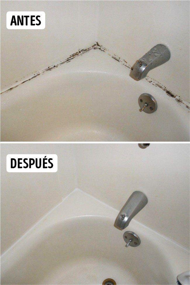 GREENER - Limpia Todo