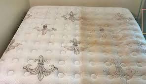 GREENER - Limpia Todo